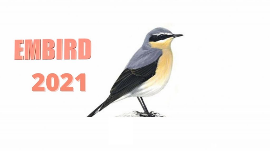 embird download free crack embird download free crack